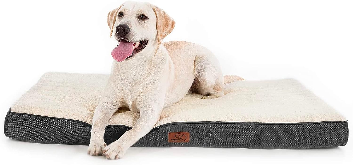 A happy Labrador Retriever lounging on a cozy, dual-tone dog bed with a plush top finish.